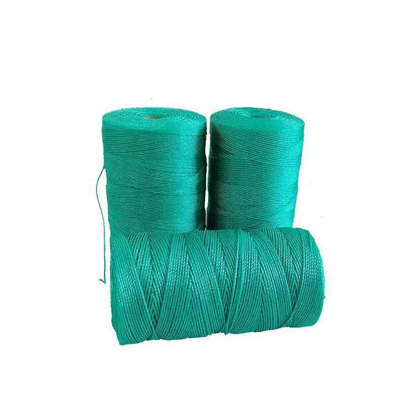 Nylon Hanging String Packaging Climbing Strapping Vine Greenhouse Fruit Vegetables Clothesline Outdoor Polyethylene Plastic Rope
Nylon Hanging String Packaging Climbing Strapping Vine Greenhouse Fruit Vegetables Clothesline Outdoor Polyethylene Plastic Rope
