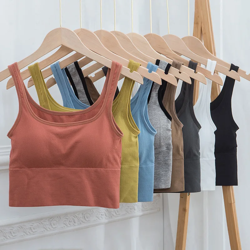 Women sexy bra Seamless Tank Crop Top GYM Brassiere Sports Bra Fitness Vest Padded Elastic Bralette Underwear bras for women
Women sexy bra Seamless Tank Crop Top GYM Brassiere Sports Bra Fitness Vest Padded Elastic Bralette Underwear bras for women