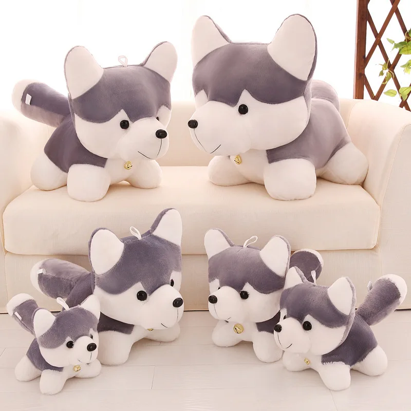 Soft Dog Doll Plush Toy Small Gray Lying Down Husky Wear A Bell Room Bed Sofa Desk Car Decoration Collection Claw Doll Machine
Soft Dog Doll Plush Toy Small Gray Lying Down Husky Wear A Bell Room Bed Sofa Desk Car Decoration Collection Claw Doll Machine