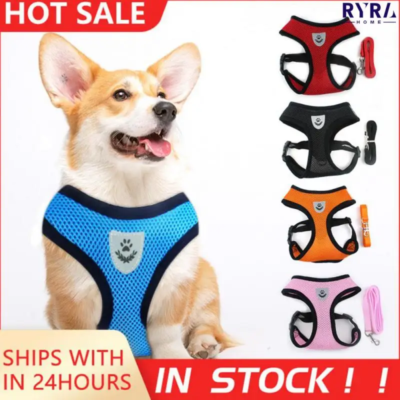 Cat Harness 1Pc Comfortable No Pull & No Choke Design Pet Puppy Small Dog Cat Padded Vest Harness For Walking And Training S/M/L
Cat Harness 1Pc Comfortable No Pull & No Choke Design Pet Puppy Small Dog Cat Padded Vest Harness For Walking And Training S/M/L