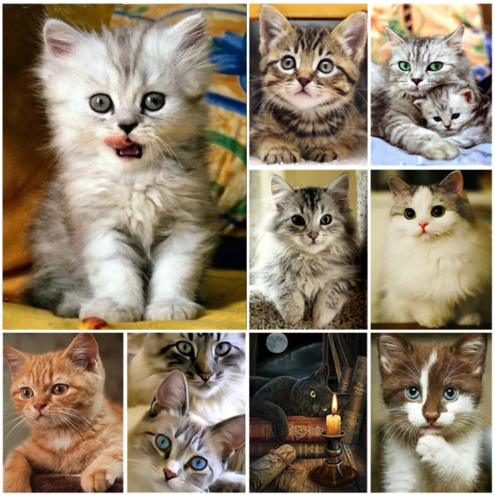 Алмазная живопись 5D "сделай сам", вышивка с кошкой, Набор для вышивки крестиком, Ручная инкрустация, подарки для дома, детской комнаты, настен...
Алмазная живопись 5D "сделай сам", вышивка с кошкой, Набор для вышивки крестиком, Ручная инкрустация, подарки для дома, детской комнаты, настен...