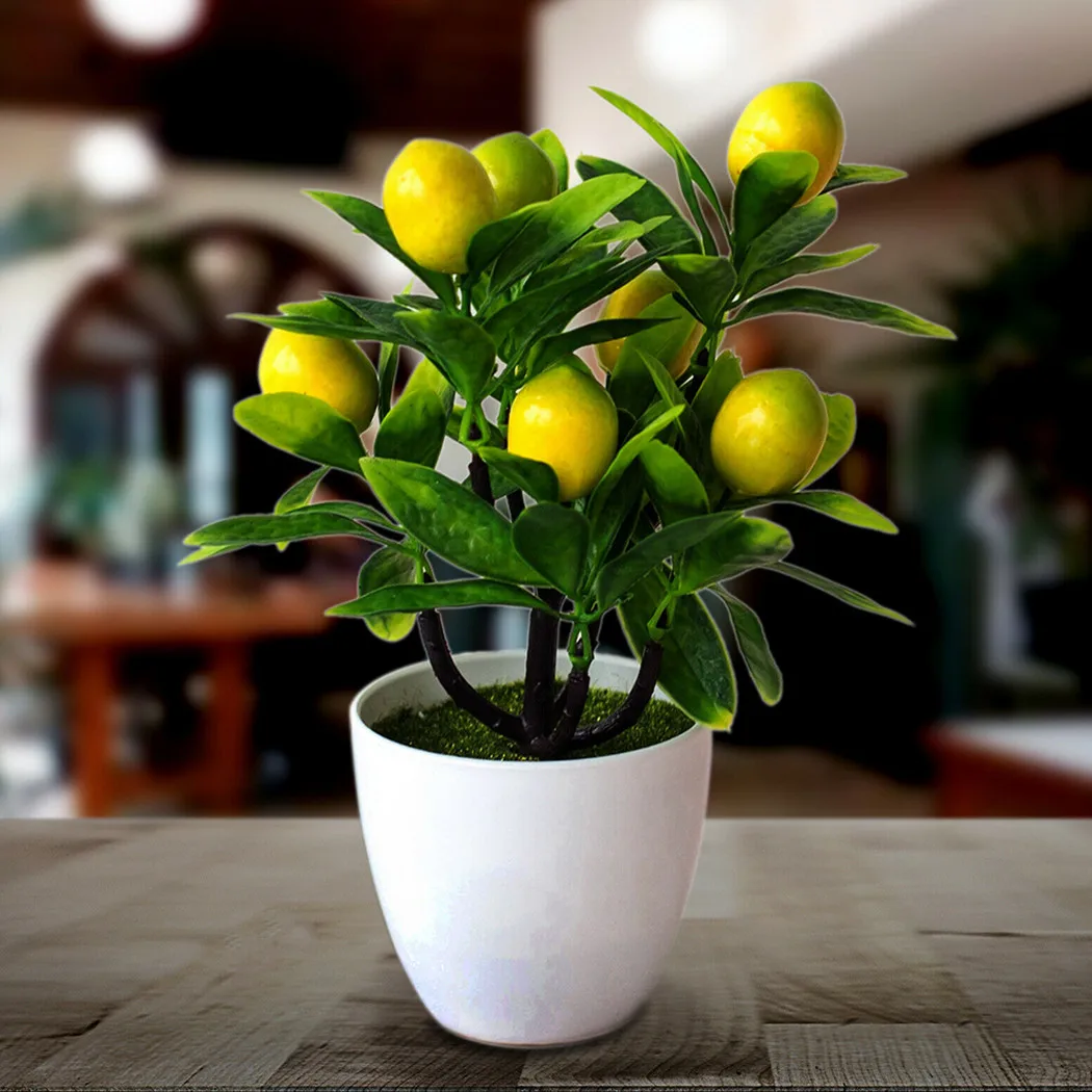 1PCS Plastic Artificial Flowers Fake False Plant Yard Garden Home In Pot Decor Diameter 18cm, Height 24cm Household Outdoor
1PCS Plastic Artificial Flowers Fake False Plant Yard Garden Home In Pot Decor Diameter 18cm, Height 24cm Household Outdoor