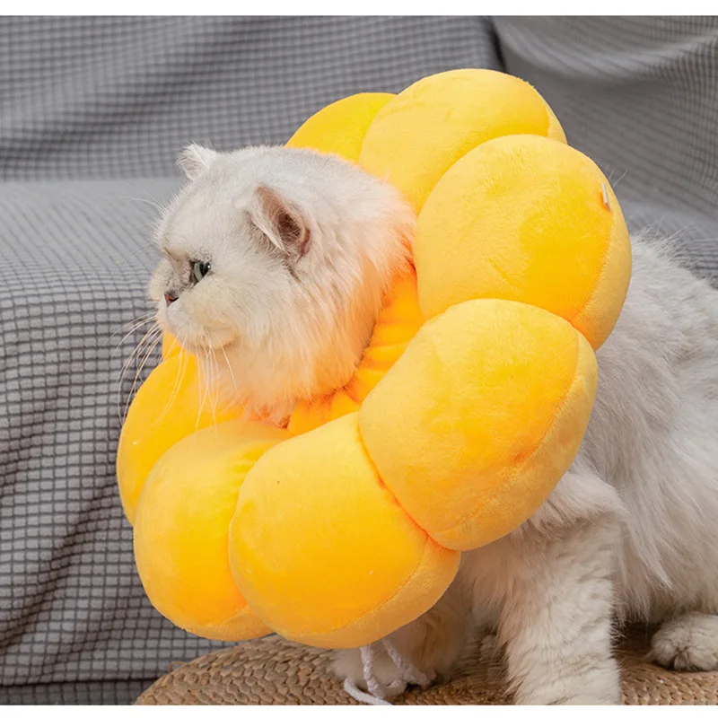 Large Cat Recovery Collar,Cute Sun Flower Neck Cat Cones After Surgery,Adjustable E Collar,Surgery Recovery Elizabethan Collars
Large Cat Recovery Collar,Cute Sun Flower Neck Cat Cones After Surgery,Adjustable E Collar,Surgery Recovery Elizabethan Collars