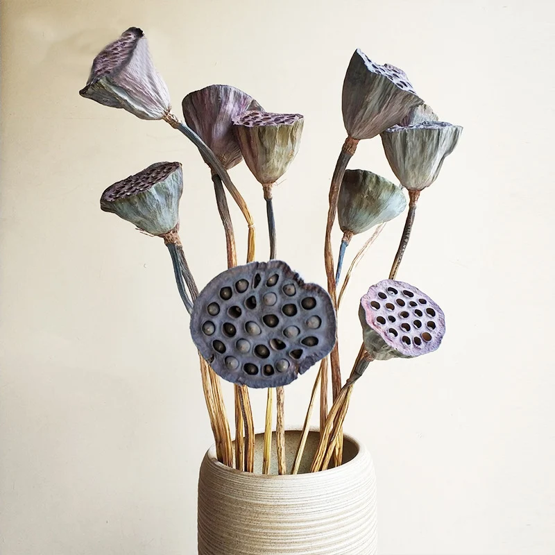 1Pcs Lotus Natural Dried Flowers Farmhouse Bouquet Plant Branch Fall Decorations For Home Party Office Decorative Pressed Floral
1Pcs Lotus Natural Dried Flowers Farmhouse Bouquet Plant Branch Fall Decorations For Home Party Office Decorative Pressed Floral