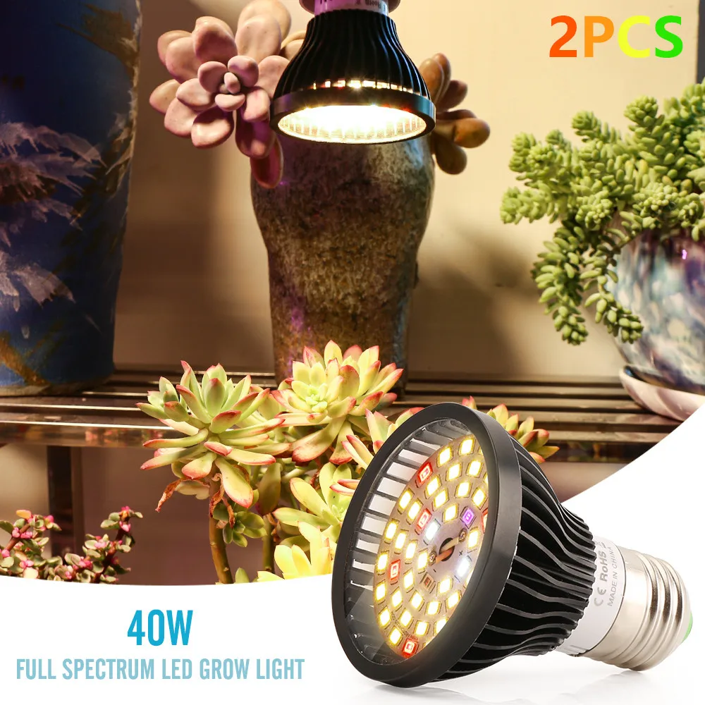 XRYL 2 шт./лот CN DE RU UK US 40 Вт E27 56 светодиодов полный спектр комнатный светильник PAR для выращивания растений лампа для цветов семян растений
XRYL 2 шт./лот CN DE RU UK US 40 Вт E27 56 светодиодов полный спектр комнатный светильник PAR для выращивания растений лампа для цветов семян растений