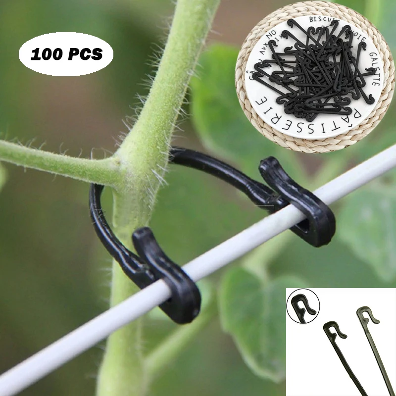 50Pcs Kiwi Grape Twig Tie Gardening Straps Vine Plant Plastic Hooks
50Pcs Kiwi Grape Twig Tie Gardening Straps Vine Plant Plastic Hooks