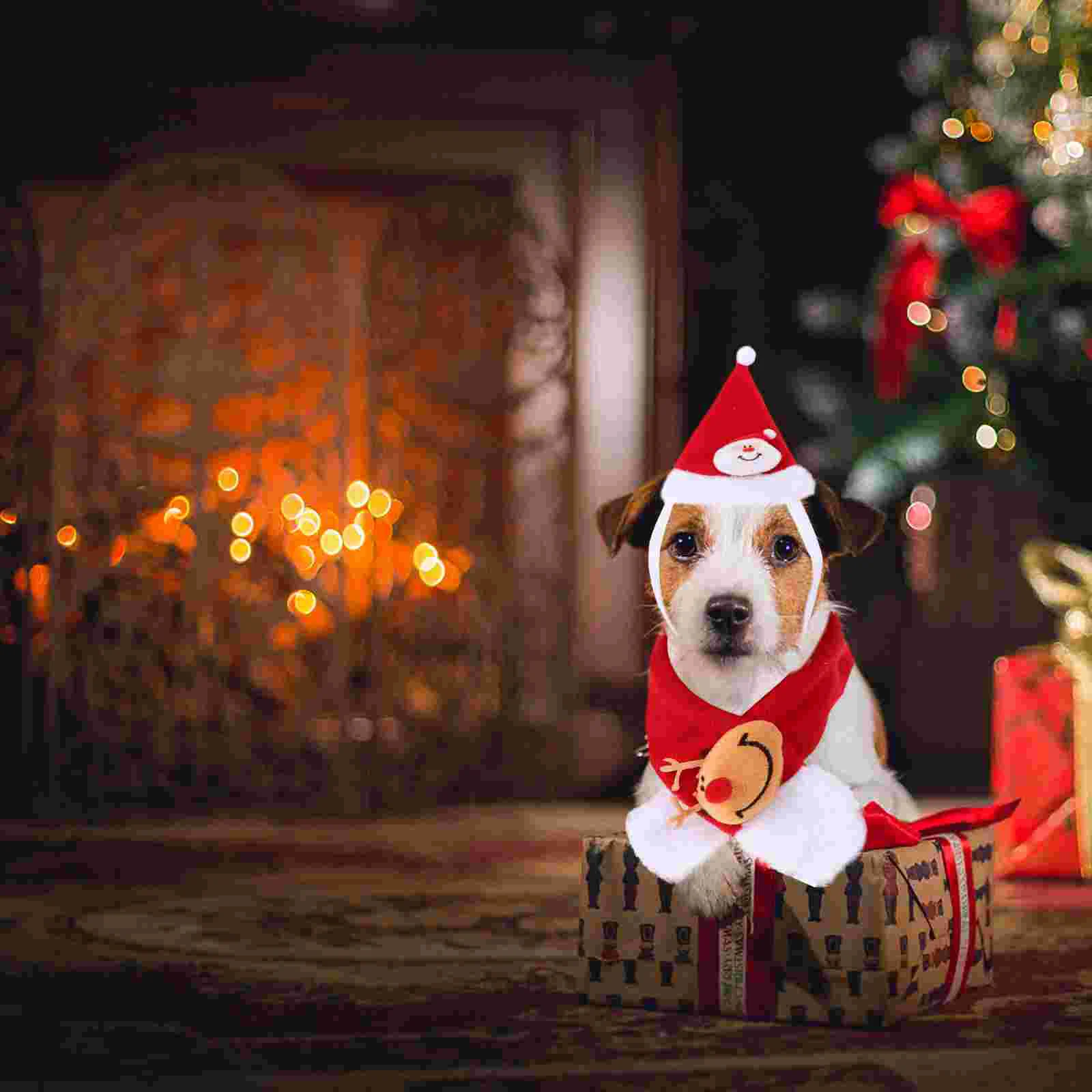 2Pcs Christmas Dog Cat Hat and Scarf Set Cosplay Costume Accessories 
2Pcs Christmas Dog Cat Hat and Scarf Set Cosplay Costume Accessories