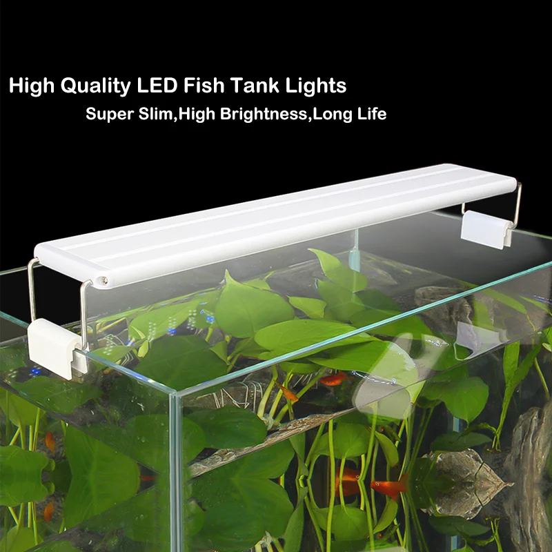 20-70cm LED Light For Aquarium Reshwater Fish Tank Plant Growth Holder Lights Decoration Lamp Waterproof Full Spectrum Bright
20-70cm LED Light For Aquarium Reshwater Fish Tank Plant Growth Holder Lights Decoration Lamp Waterproof Full Spectrum Bright