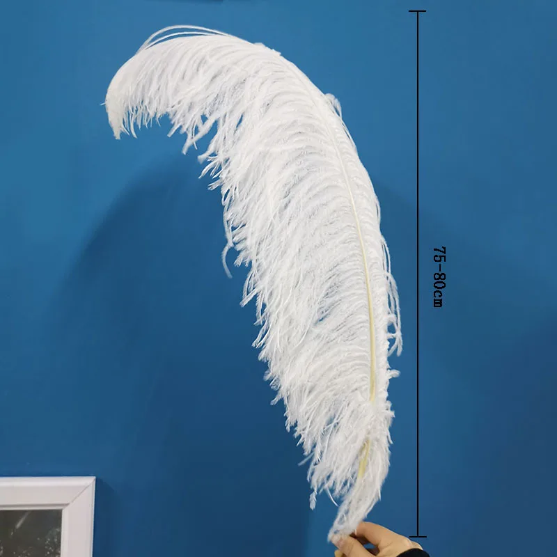 Promotion 10pcs/lot High Quality Ostrich Feather 75-80cmCM 30-32Inch Celebration Christmas Dancers Home Diy Plumas 
Promotion 10pcs/lot High Quality Ostrich Feather 75-80cmCM 30-32Inch Celebration Christmas Dancers Home Diy Plumas