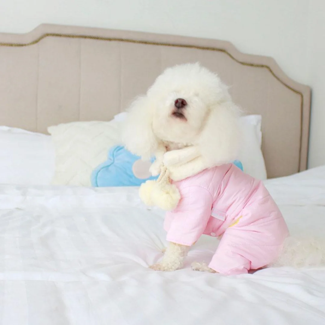 Pet Dogs Cat Clothes Autumn Clothing Winter Thick Cotton Clothes Rabbit Hair Scarves Ski Shirts Four-legged
Pet Dogs Cat Clothes Autumn Clothing Winter Thick Cotton Clothes Rabbit Hair Scarves Ski Shirts Four-legged