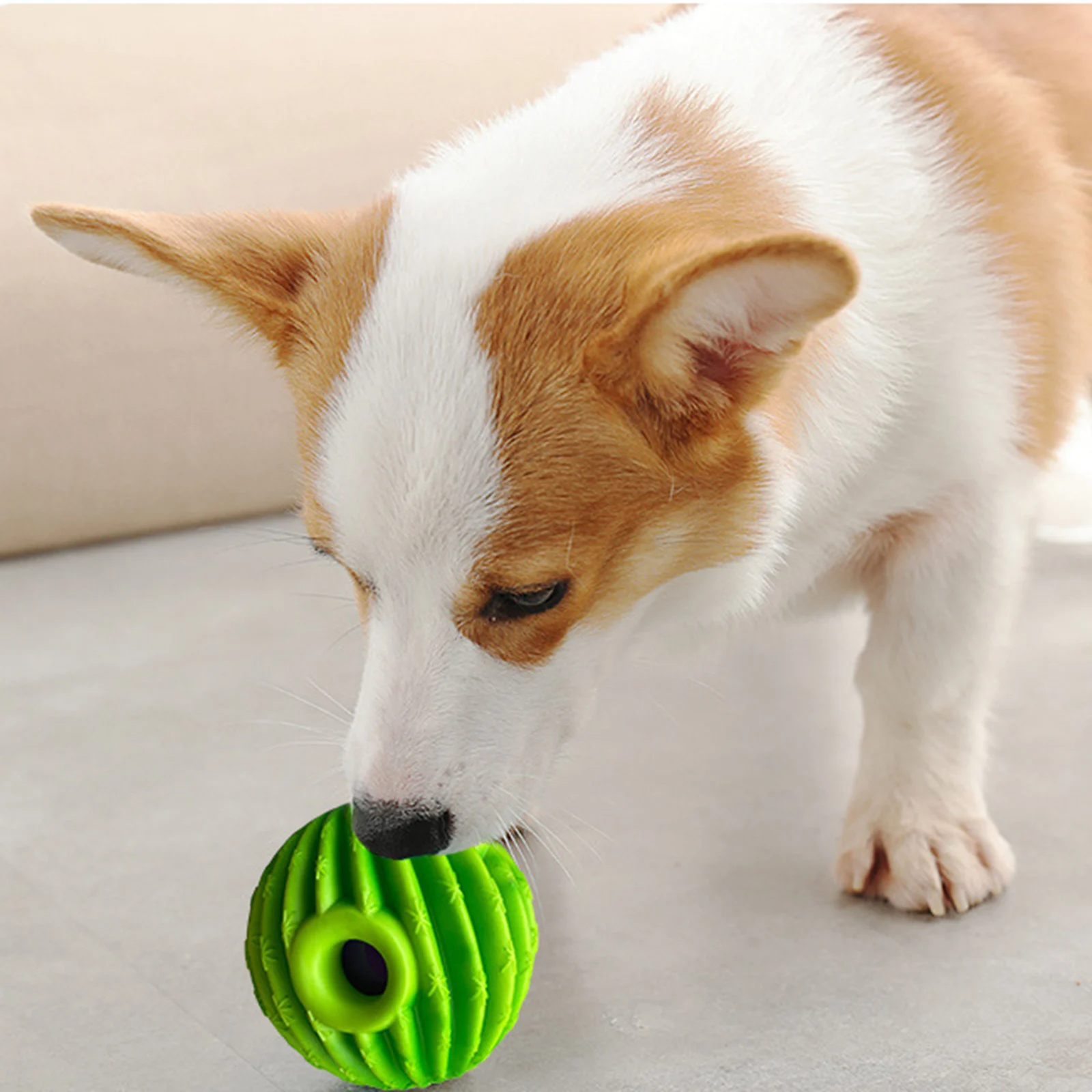 Pet Dog Ball Chewing Biting Molar Toy Interactive Ball With Sound For Indoor Outdoor Great Interactive Toys For Your Dog
Pet Dog Ball Chewing Biting Molar Toy Interactive Ball With Sound For Indoor Outdoor Great Interactive Toys For Your Dog
