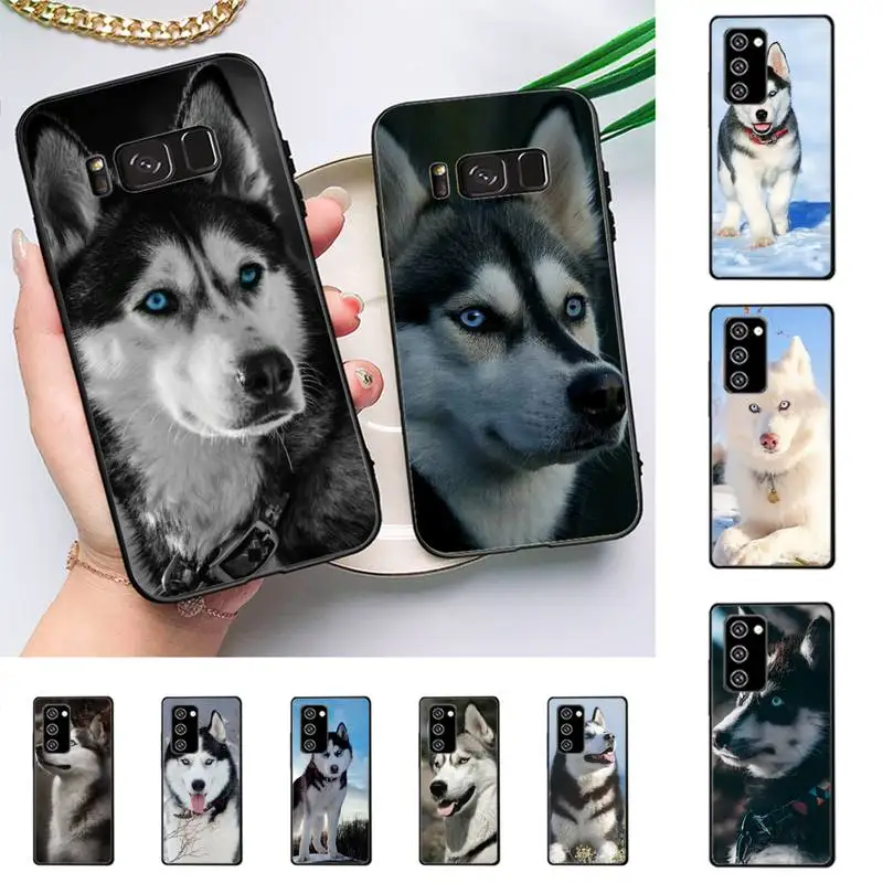 Animal Wolf Husky Dog Puppy Phone Case for Samsung Note 5 7 8 9 10 20 pro plus lite ultra A21 12 72
Animal Wolf Husky Dog Puppy Phone Case for Samsung Note 5 7 8 9 10 20 pro plus lite ultra A21 12 72