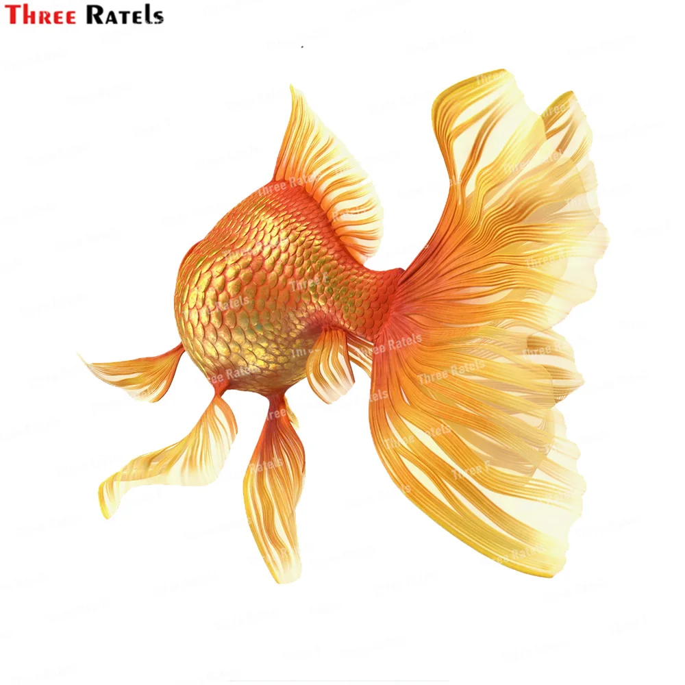 Наклейки на стену три Ratels K541 с изображением оранжевых фантастических золотых рыбок для плавания для детской комнаты, детского сада, спальни, экологически чистые наклейки на стену
Наклейки на стену три Ratels K541 с изображением оранжевых фантастических золотых рыбок для плавания для детской комнаты, детского сада, спальни, экологически чистые наклейки на стену