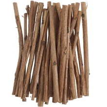 100PCS Sticks Wood Log Driftwood Twigs Crafts Wooden Birch Craft Branches Fish Tank Stick Mini Props Vase Long Filler Supplies