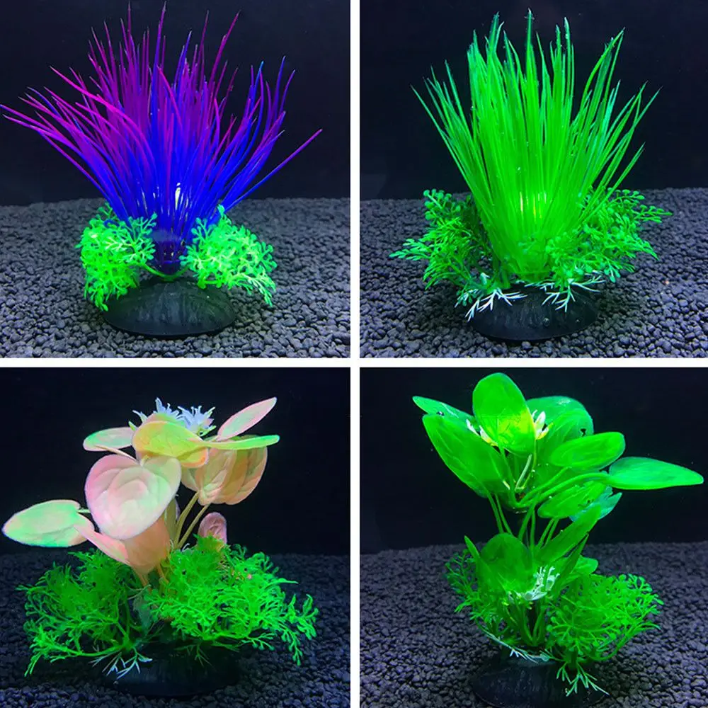 Cute 12cm Plastic Green Water Weeds Ornament Artificial Aquarium Plants Aquatic Grass Decoration Fish Tank Accessories
Cute 12cm Plastic Green Water Weeds Ornament Artificial Aquarium Plants Aquatic Grass Decoration Fish Tank Accessories