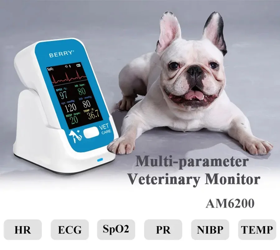 AM6200 Veterinary Monitor Easy-to-carry Handle Multiple Vital Signs:PR, HR, NIBP(Blood Pressure), Spo2, Resp(Respration), TEM
AM6200 Veterinary Monitor Easy-to-carry Handle Multiple Vital Signs:PR, HR, NIBP(Blood Pressure), Spo2, Resp(Respration), TEM