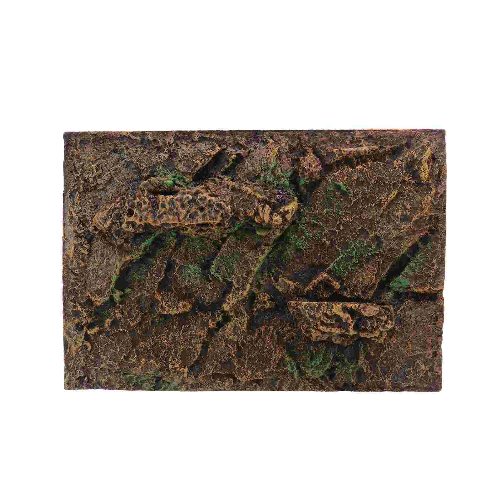 Climbing Pet Box Background Board Landscaping Shooting Turtle Tank Glass Containers Landscape Leopard Decor Emulation Cage
Climbing Pet Box Background Board Landscaping Shooting Turtle Tank Glass Containers Landscape Leopard Decor Emulation Cage