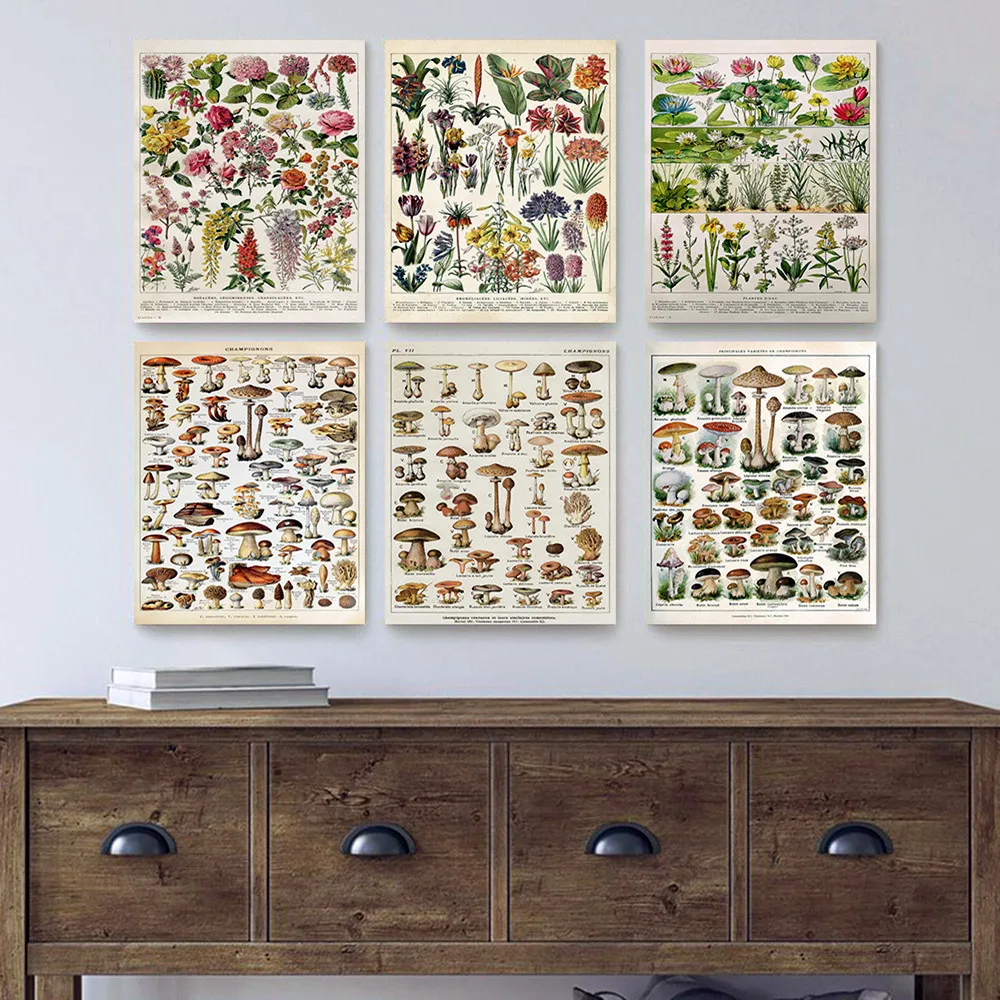 Fungal Vegetables Flower Fruit Plant Series Posters and Prints Vintage Wall Art Canvas Paintings Wall Chart Living Room Decor
Fungal Vegetables Flower Fruit Plant Series Posters and Prints Vintage Wall Art Canvas Paintings Wall Chart Living Room Decor