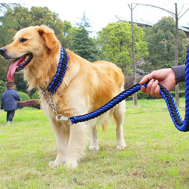Double Strand Large Dog Leash Metal P Chain Buckle Ethnic Color Pet Leash Collar Set Adjustable For Medium And Large Dogs
Double Strand Large Dog Leash Metal P Chain Buckle Ethnic Color Pet Leash Collar Set Adjustable For Medium And Large Dogs