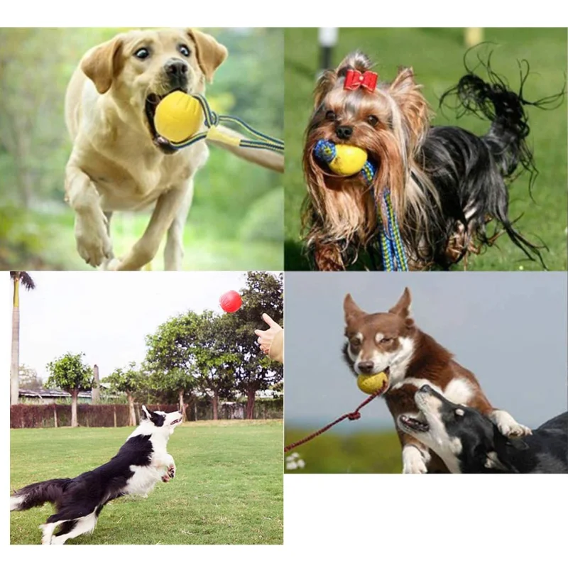 Interactive Dog Toys Rope Ball EVA Ball Toy For Play Chewing Dog Training Toys Portable Pet Supplies For Small Large Dog toy
Interactive Dog Toys Rope Ball EVA Ball Toy For Play Chewing Dog Training Toys Portable Pet Supplies For Small Large Dog toy