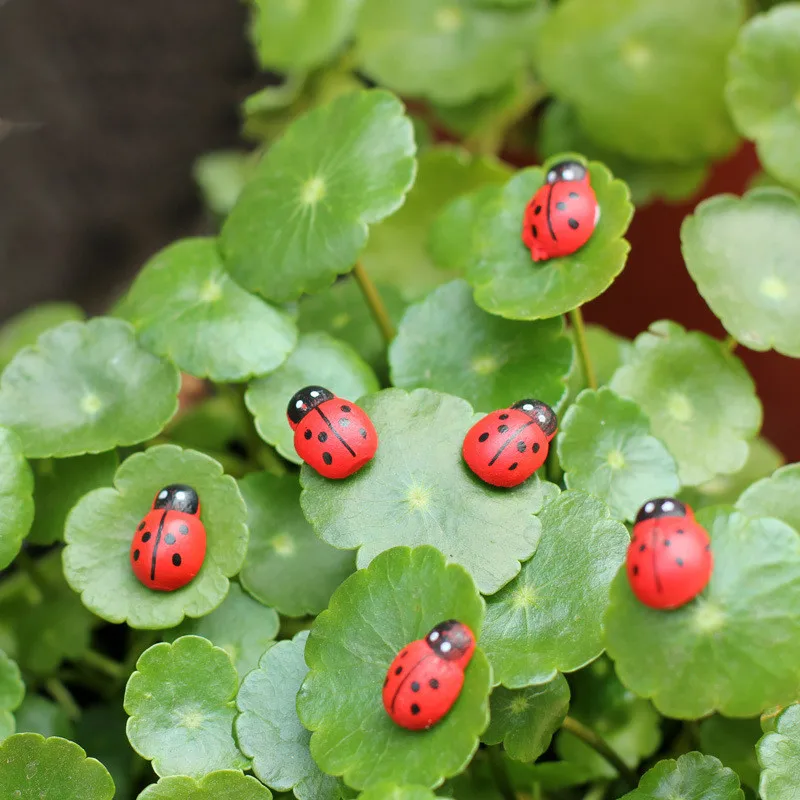 Figurine Miniature Mini Wood Crafts Ladybug Ornaments For Decoration Home Micro Landscap Garden Supplies Accessories
Figurine Miniature Mini Wood Crafts Ladybug Ornaments For Decoration Home Micro Landscap Garden Supplies Accessories