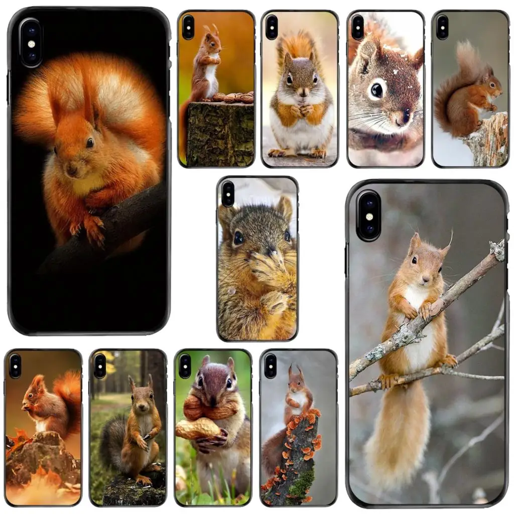 Hard Phone Case Red Squirrel Sciurus vulgaris Print For Apple iPhone 11 12 13 14 Pro MAX Mini 5 5S SE 6 6S 7 8 Plus 10 X XR XS
Hard Phone Case Red Squirrel Sciurus vulgaris Print For Apple iPhone 11 12 13 14 Pro MAX Mini 5 5S SE 6 6S 7 8 Plus 10 X XR XS