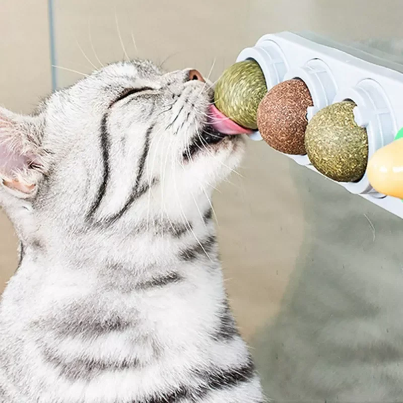 2022New Cat Catnip Wall Ball Cat Toy Catnip Balls Snack Healthy Rotatable Treats Toy Kitten Playing Chewing Cleaning Teeth Toys
2022New Cat Catnip Wall Ball Cat Toy Catnip Balls Snack Healthy Rotatable Treats Toy Kitten Playing Chewing Cleaning Teeth Toys