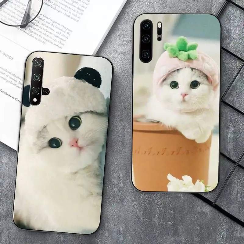 Cute Cat Kitten Phone Case for Huawei Honor 10 i 8X C 5A 20 9 10 30 lite pro Voew 10 20 V30
Cute Cat Kitten Phone Case for Huawei Honor 10 i 8X C 5A 20 9 10 30 lite pro Voew 10 20 V30
