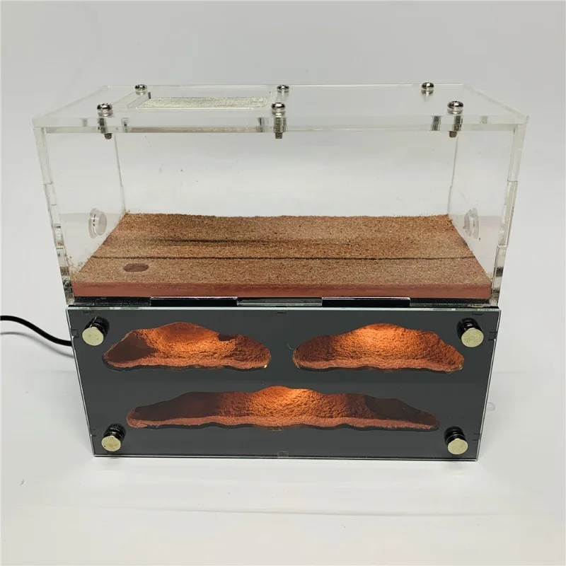 Sky City Lamp Edition Ant Castle Pet Farm Workshop Easy to Observe, High Reproductive Beauty, and Large Capacity
Sky City Lamp Edition Ant Castle Pet Farm Workshop Easy to Observe, High Reproductive Beauty, and Large Capacity
