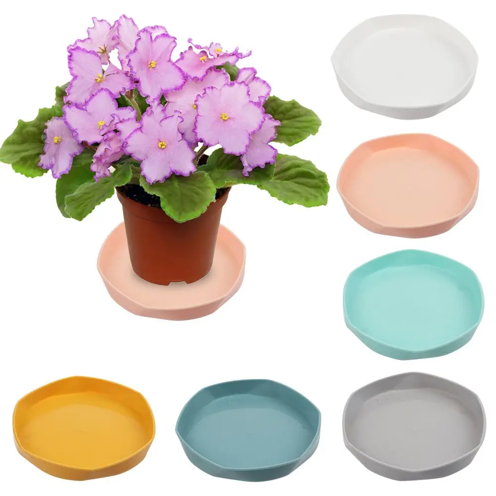 1PC Plastic Tray Saucers Plant Saucer Durable Thickened Indoor Outdoor Flower Pot Drip Trays Saucer Base Garden Plant Accessorie
1PC Plastic Tray Saucers Plant Saucer Durable Thickened Indoor Outdoor Flower Pot Drip Trays Saucer Base Garden Plant Accessorie