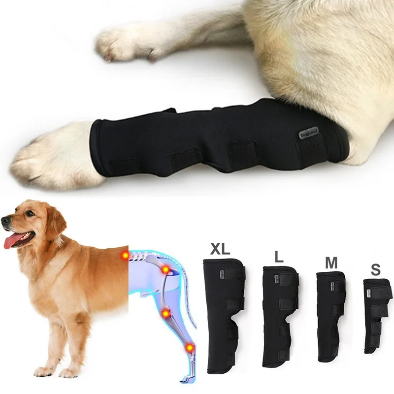 Pads Dog Support Pet Hock Dog Breathable Legs Injury Support Brace Wrap Protector Leg For Knee 2pcs/lot Recover Joint
Pads Dog Support Pet Hock Dog Breathable Legs Injury Support Brace Wrap Protector Leg For Knee 2pcs/lot Recover Joint
