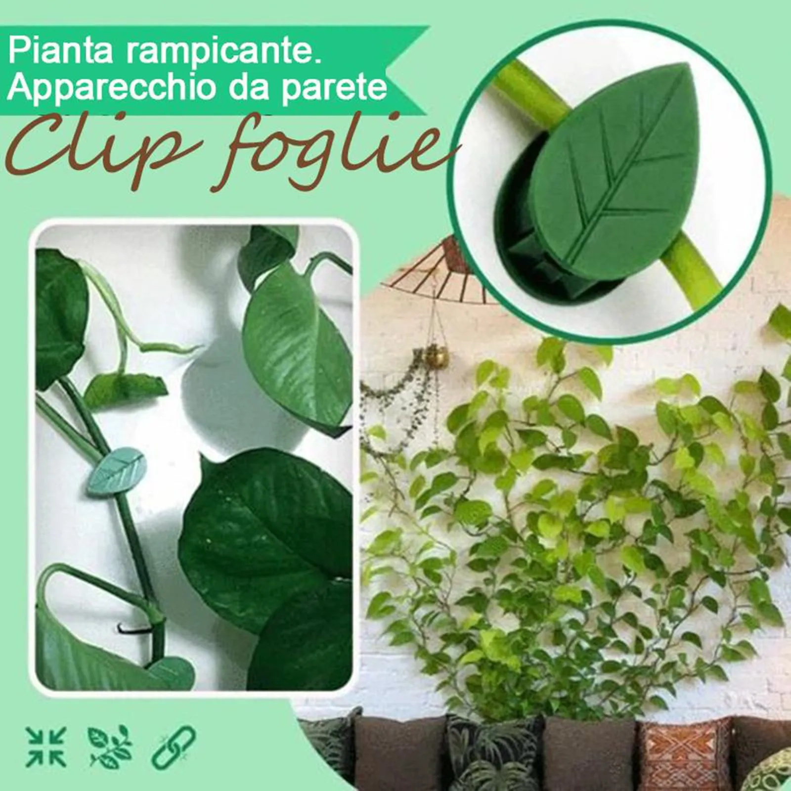 10/20/50PCS Plant Fixture Clip Plant Climbing Wall Self-Adhesive Fastener Tied Fixture Vine Buckle Hook Plant Wall Climbing
10/20/50PCS Plant Fixture Clip Plant Climbing Wall Self-Adhesive Fastener Tied Fixture Vine Buckle Hook Plant Wall Climbing