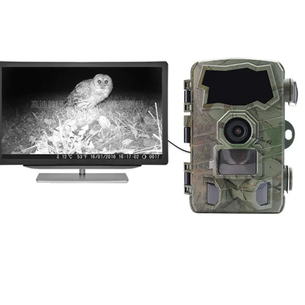 H888wifi Scouting Hunting Camera White Flash Trail Wifi Sends Picture To Cell Phone Ip66 4K Video
H888wifi Scouting Hunting Camera White Flash Trail Wifi Sends Picture To Cell Phone Ip66 4K Video