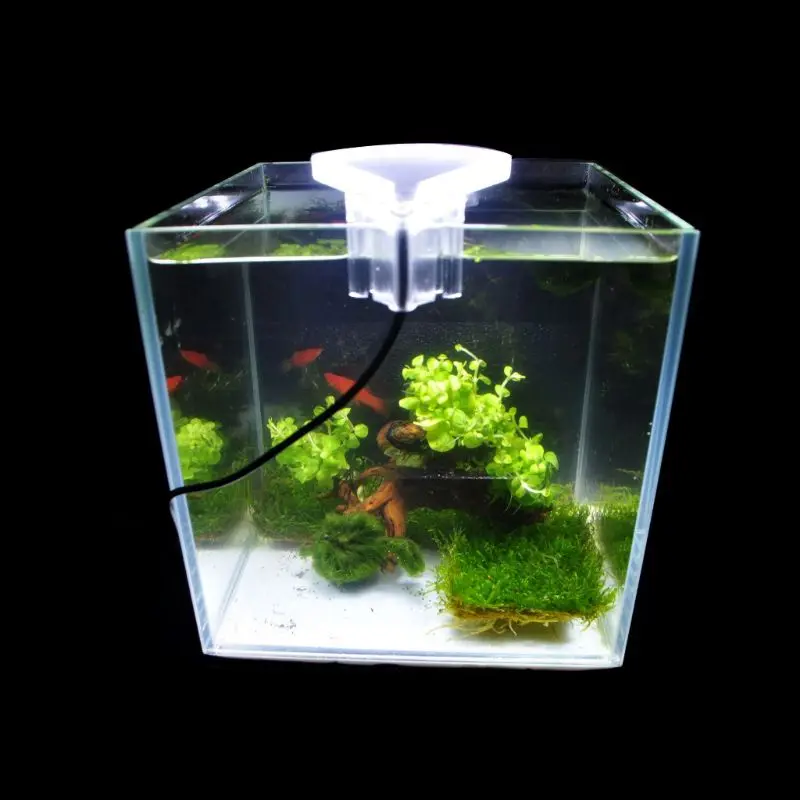 White Light EU 100-240V LED Clip-on Fish Tank Aquarium Lighting Bulb Water Aquatic Plant Growth Lamp B03E
White Light EU 100-240V LED Clip-on Fish Tank Aquarium Lighting Bulb Water Aquatic Plant Growth Lamp B03E