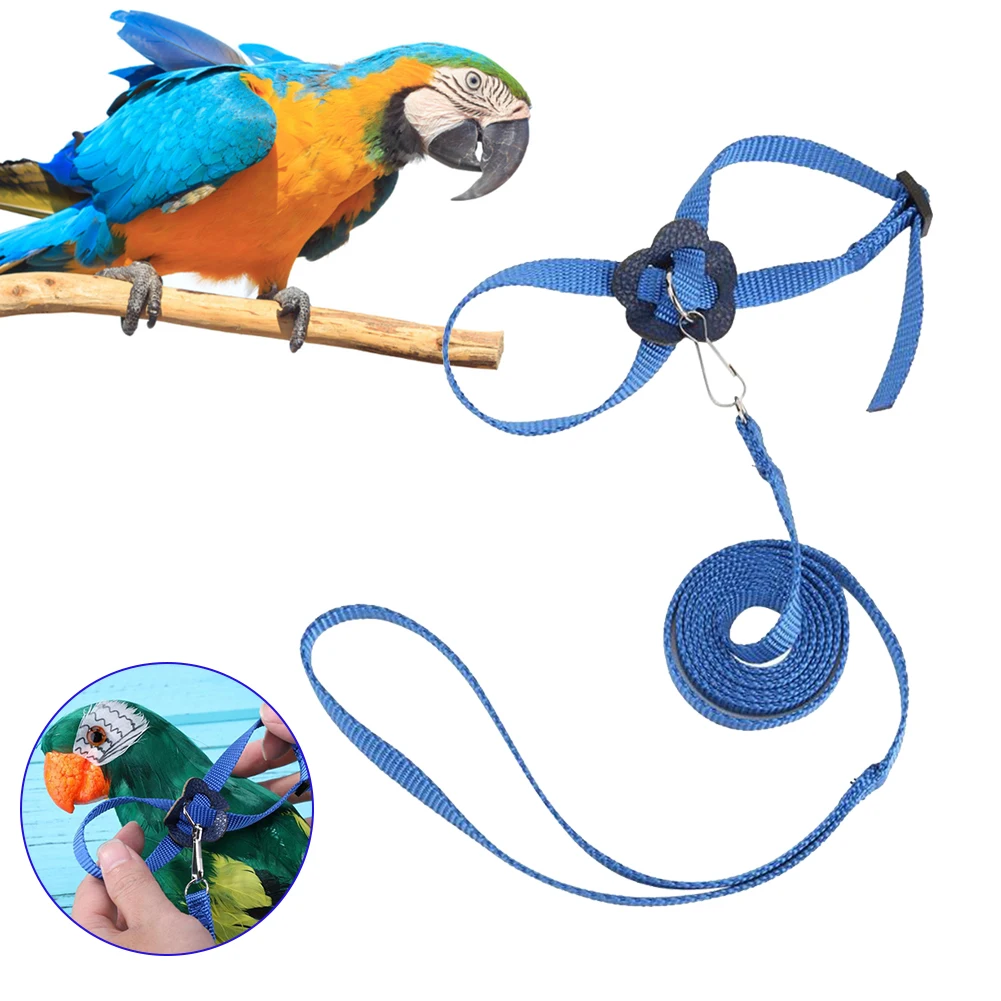 Parrot Bird Harness Leash Outdoor Adjustable Training Rope Anti Flying Traction Belt Portable Soft Strap Bird Supplies
Parrot Bird Harness Leash Outdoor Adjustable Training Rope Anti Flying Traction Belt Portable Soft Strap Bird Supplies