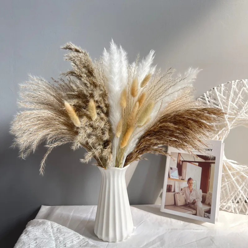 72PCS Natural Dried Pampas Grass Phragmites Flowers Rabbit Tail Real Bouquet Plants Bunch Props Floral Boho Home Wedding Decor 
72PCS Natural Dried Pampas Grass Phragmites Flowers Rabbit Tail Real Bouquet Plants Bunch Props Floral Boho Home Wedding Decor