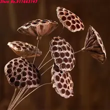 50pcs Natural Seedpod Of The Lotus Without Pole Dried Lotus Seedpod Without Seed For Diy Handmade Home Garden Living Room Decor