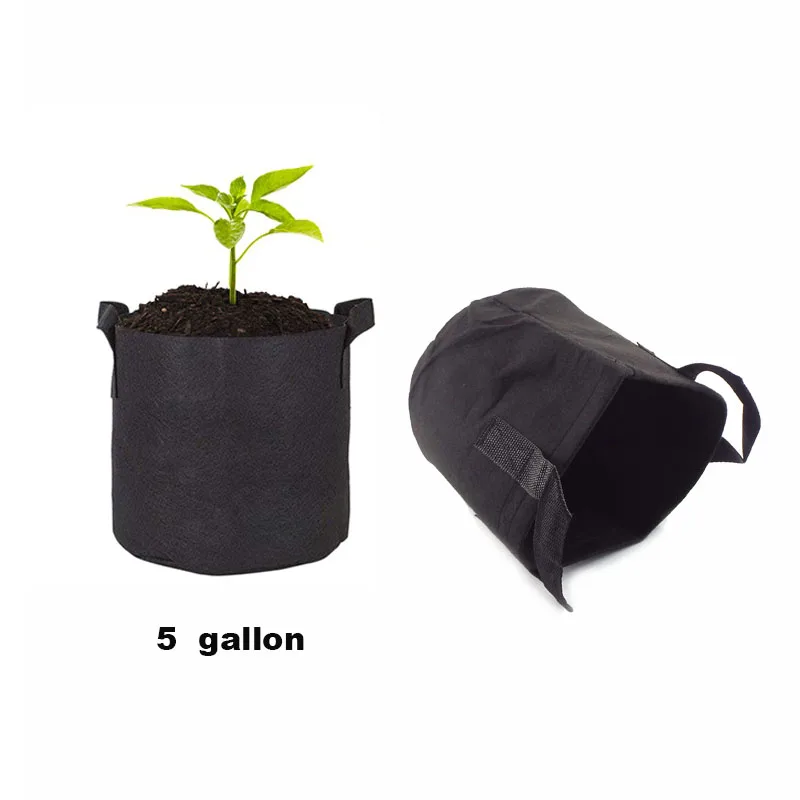 5 Gallon Plant Growing Plant Bag With Handle Vegetable Flower Fabric Seed Pot Eco-Friendly Ventilate Garden Tools
5 Gallon Plant Growing Plant Bag With Handle Vegetable Flower Fabric Seed Pot Eco-Friendly Ventilate Garden Tools