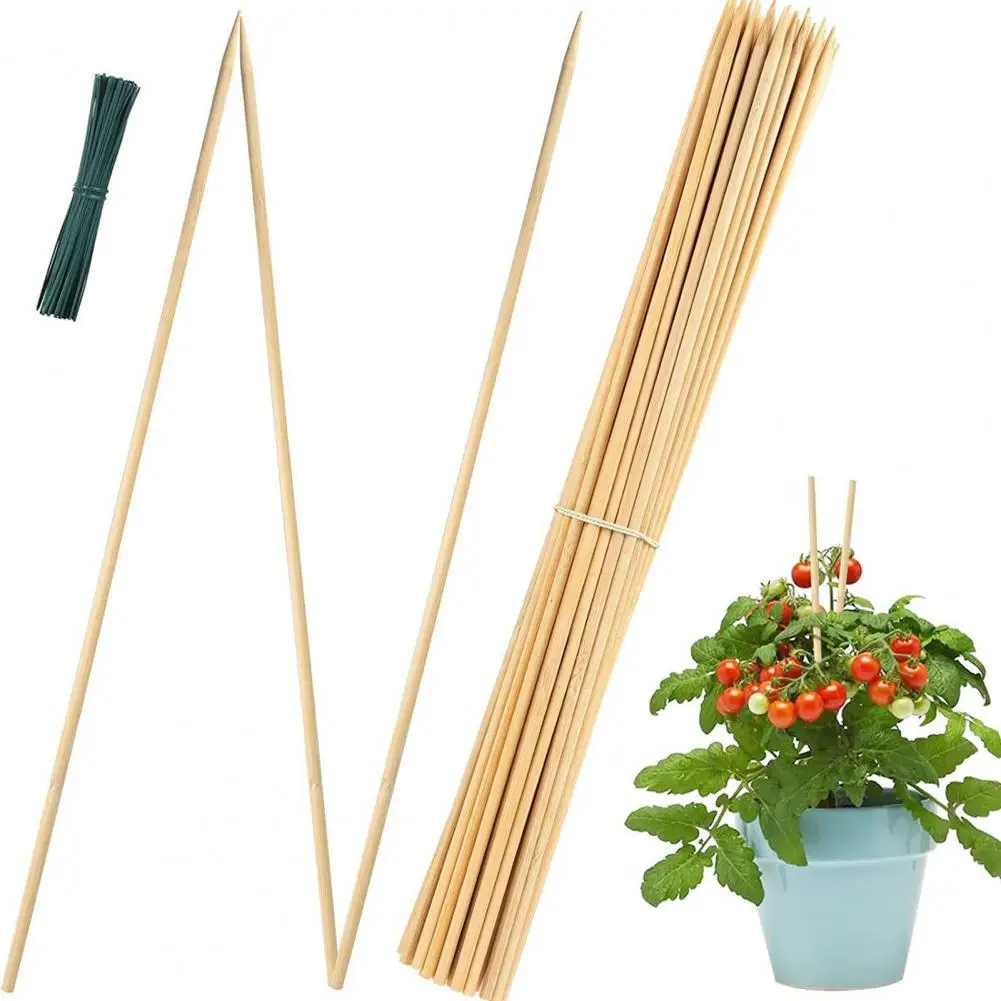 

Wide Application Plant Grow Stake Bamboo Provide Appropriate Bending Unique Growing Vegetables Green Plant Support Sticks
