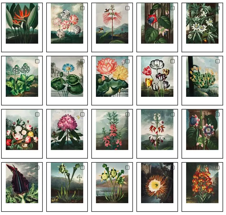 

Lot Style Choose Unframed Vintage Botanical Plants Art Picture Print Silk Poster Home Wall Decor