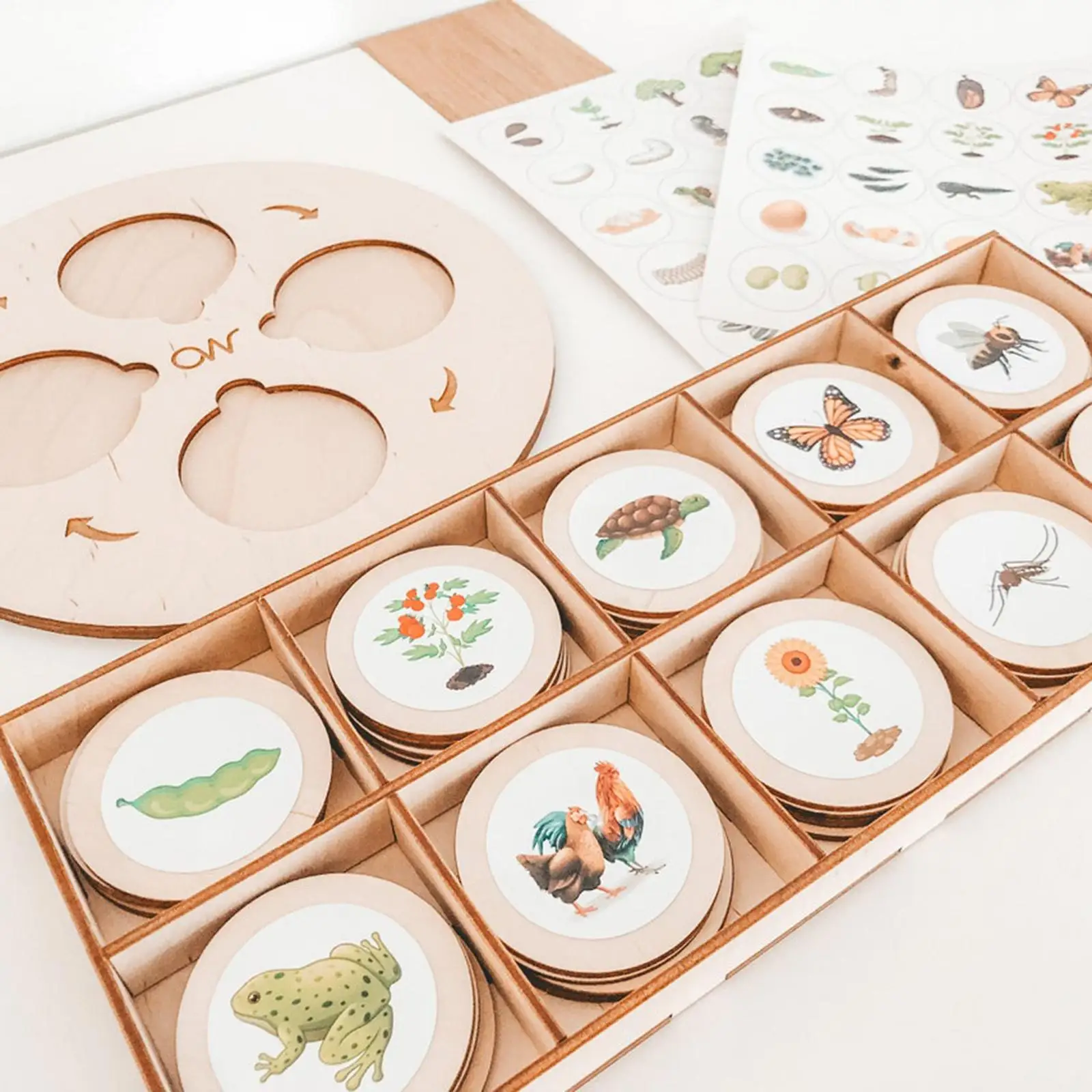 Wooden Montessori Life Cycle Tray Game, Educational Kids toy, Learning Wood Material
Wooden Montessori Life Cycle Tray Game, Educational Kids toy, Learning Wood Material