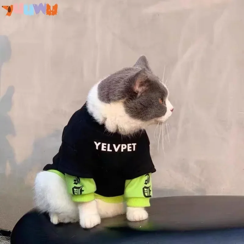 Autumn and Winter Pet Clothing Thickened Plush Sweater Cute Cartoon Pattern Small and Medium-sized Dog Warm Pullover Yorkshire
Autumn and Winter Pet Clothing Thickened Plush Sweater Cute Cartoon Pattern Small and Medium-sized Dog Warm Pullover Yorkshire