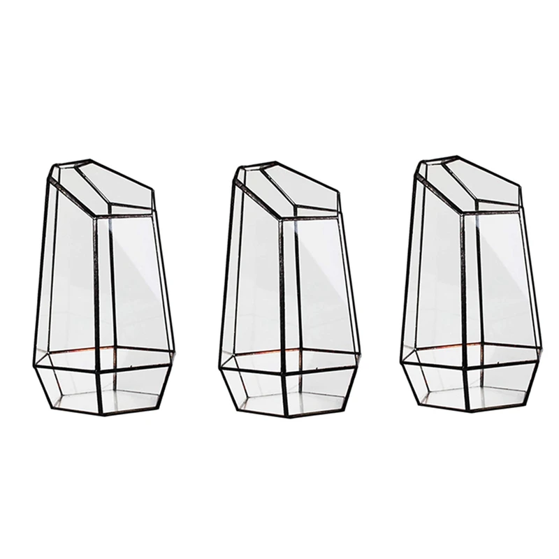 3X House Greenhouse Hexagonal Glass Vase For Fee Garden Miniature Mini Landscape
3X House Greenhouse Hexagonal Glass Vase For Fee Garden Miniature Mini Landscape