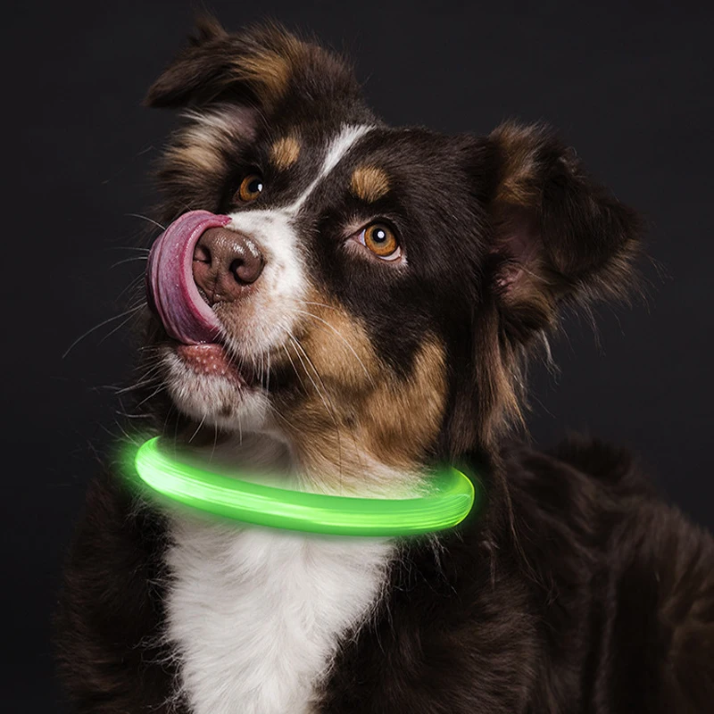 LED Dog Collar Luminous USB Cat Dog Collar 3 Modes Led Light Glowing Loss Prevention LED Collar For Dogs Pet Dog Accessories
LED Dog Collar Luminous USB Cat Dog Collar 3 Modes Led Light Glowing Loss Prevention LED Collar For Dogs Pet Dog Accessories