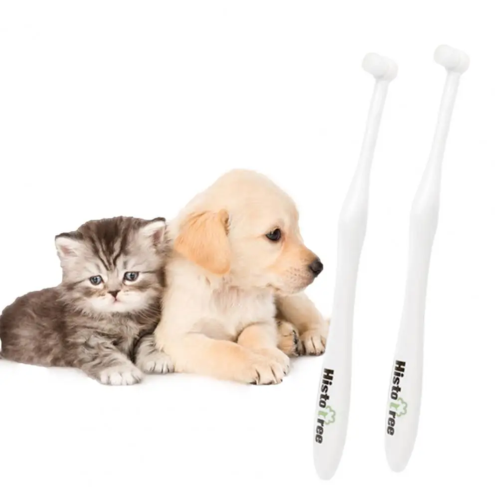 Cute Dog Toothbrush Pet Supplies Pet Teeth Cleaning Brush Smell-less Anti-crack Pet Toothbrush for Kitty
Cute Dog Toothbrush Pet Supplies Pet Teeth Cleaning Brush Smell-less Anti-crack Pet Toothbrush for Kitty