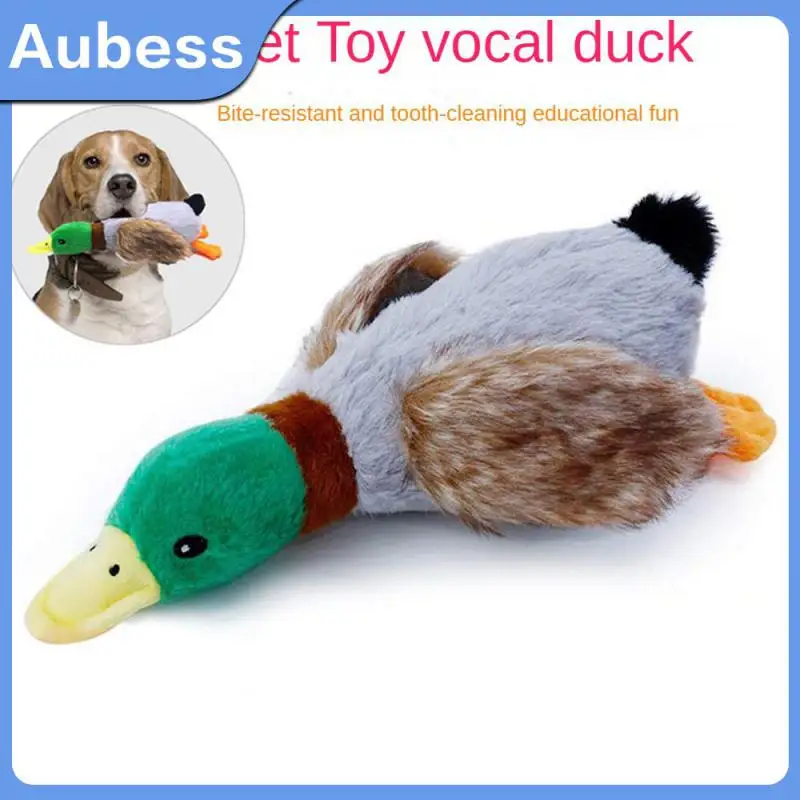 Specification 28cm Equipped With A Sound Producing Airbag Squeaky Dog Toys Exquisite Embroidery Sound Toy Pp Cotton Dog Toys
Specification 28cm Equipped With A Sound Producing Airbag Squeaky Dog Toys Exquisite Embroidery Sound Toy Pp Cotton Dog Toys