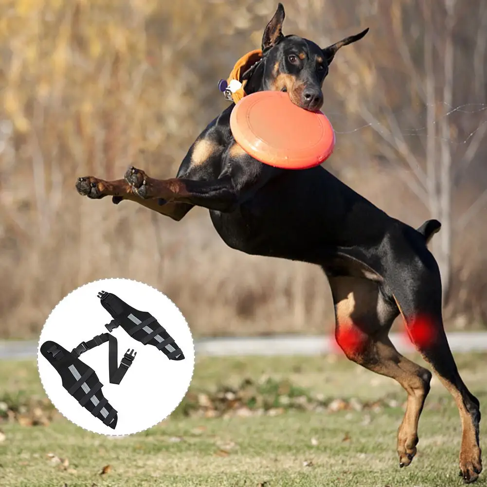 Pet Dog Knee Brace Adjustable Size Reflective Design Elastic Shoulder Strap Hind Legs Protective Cover
Pet Dog Knee Brace Adjustable Size Reflective Design Elastic Shoulder Strap Hind Legs Protective Cover