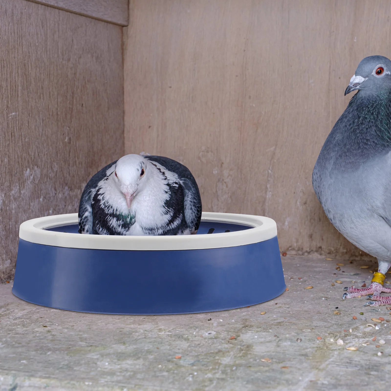 Bird Pigeon Breeding Nesting Hatching Box Egg Bowl Pet Chicken Basin Eggs Cage Bowls Canary House Suppliesmaterial Container
Bird Pigeon Breeding Nesting Hatching Box Egg Bowl Pet Chicken Basin Eggs Cage Bowls Canary House Suppliesmaterial Container