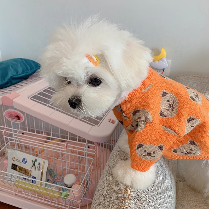 2022 New Arrival Pet Clothes, Dog Sweater, Teddy Bear, Keji Bomei, Small Dog, Puppy And Winter Clothes Autumn Cute And Kitten,
2022 New Arrival Pet Clothes, Dog Sweater, Teddy Bear, Keji Bomei, Small Dog, Puppy And Winter Clothes Autumn Cute And Kitten,