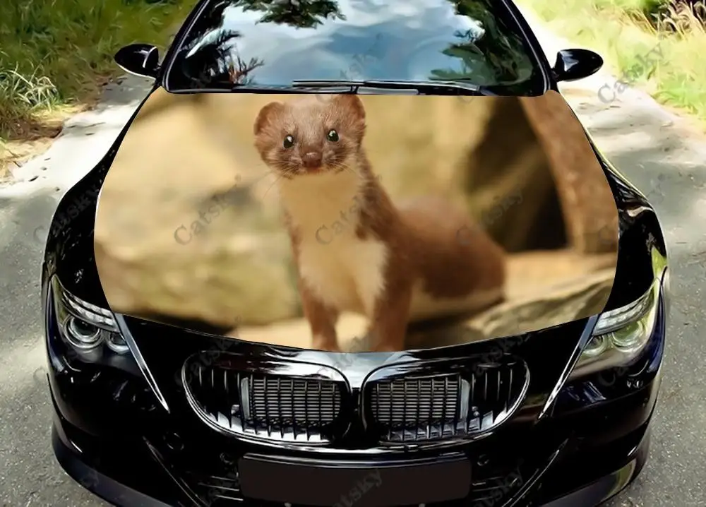Weasel animal Car Hood Wrap Color Vinyl Sticker Decal Truck Graphic Bonnet Custom Car Decoration Stickers
Weasel animal Car Hood Wrap Color Vinyl Sticker Decal Truck Graphic Bonnet Custom Car Decoration Stickers